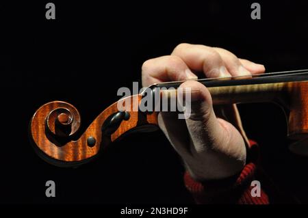 La mano di un violinista da concerto Foto Stock