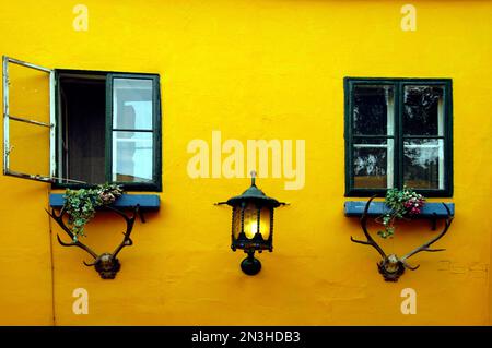 Austria, Vienna, Grinzing, il muro di un Heuriger (wine bar/ristorante) Foto Stock