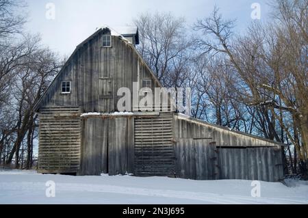 Vecchio fienile innevato in una fattoria familiare vicino a Cortland, Nebraska, USA; Cortland, Nebraska, Stati Uniti d'America Foto Stock