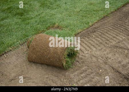 Rotolo di sod steso sul suolo; Lincoln, Nebraska, Stati Uniti d'America Foto Stock