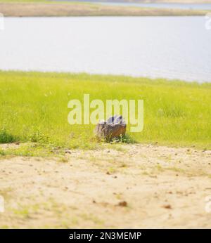 Lanshi Park, Jiangmen Cina Foto Stock