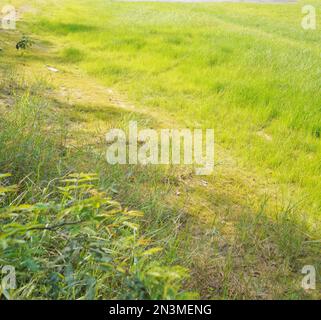 Lanshi Park, Jiangmen Cina Foto Stock