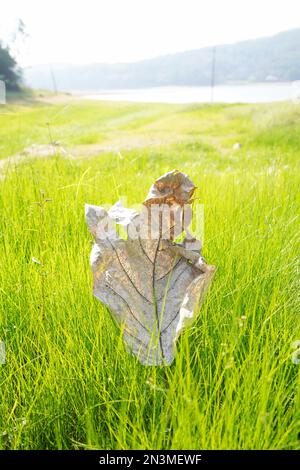 Lanshi Park, Jiangmen Cina Foto Stock