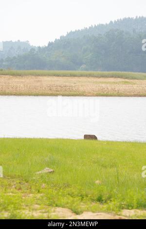 Lanshi Park, Jiangmen Cina Foto Stock