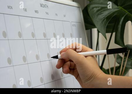 Scrittura a mano femminile con marcatore su Monthly PLANNER. Scheda magnetica con i giorni del mese. Luogo per inserire il programma delle questioni importanti. Concetto di business planning. Whiteboard Planner modello mensile magnetico. Interno del posto di lavoro di freelancer Foto Stock