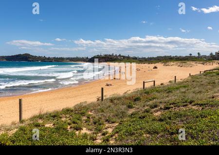 Spiaggia di Mona vale a Sydney Australia, costa orientale spiaggia in estate giorno 2023, mare oceano e sabbia, Australia Foto Stock