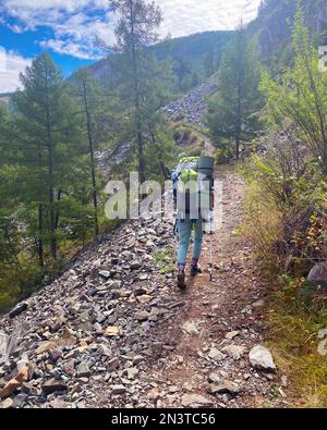 Ragazza viaggiatore con uno zaino su bastoni da trekking che sale sul ripido sentiero di pietra di Altai sullo sfondo di una scogliera. Telaio verticale. Foto Stock