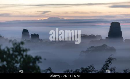 Alba alle rovine di Tikal Foto Stock