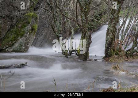 Una lunga esposizione di attraversamento del fiume tra alberi di legno nelle montagne di Madrid Foto Stock