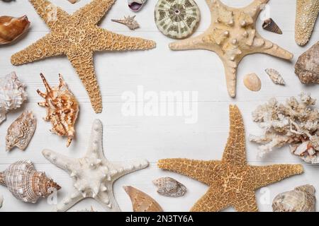 Cornice di conchiglie e stelle marine su fondo in legno bianco, piatto. Spazio per il testo Foto Stock