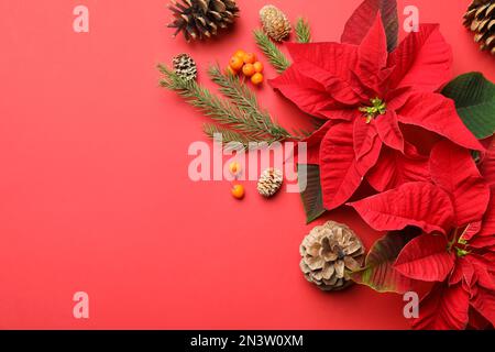 Composizione piatta con poinsettie (fiori di Natale tradizionali) e decorazioni su sfondo rosso. Spazio per il testo Foto Stock