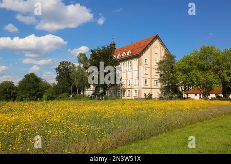 Giardino dell'Eden, parco attivo di generazione, parco sensoriale e di terapia, Untermarchtal, Baden-Wuerttemberg, Germania Foto Stock