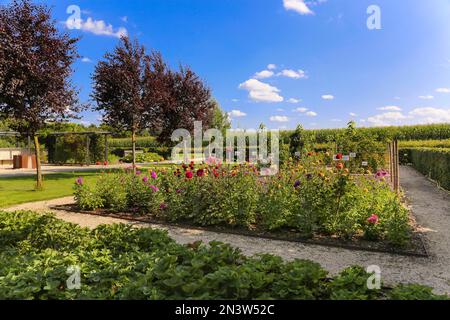 Giardino dell'Eden, parco attivo di generazione, parco sensoriale e di terapia, Untermarchtal, Baden-Wuerttemberg, Germania Foto Stock