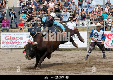 Rodeo, bull riding, Valleyfield, Provincia di Quebec, Canada Foto Stock
