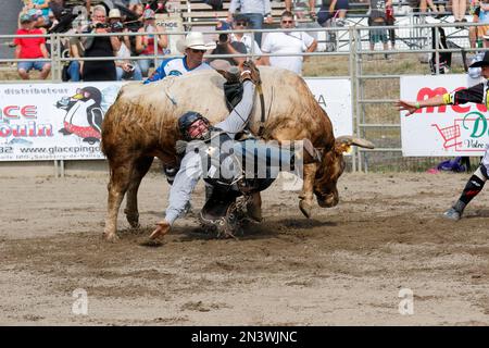 Rodeo, bull riding, Valleyfield, Provincia di Quebec, Canada Foto Stock