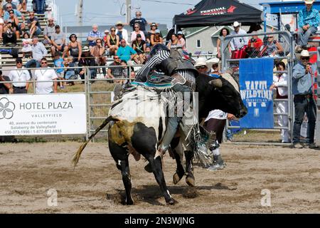 Rodeo, bull riding, Valleyfield, Provincia di Quebec, Canada Foto Stock