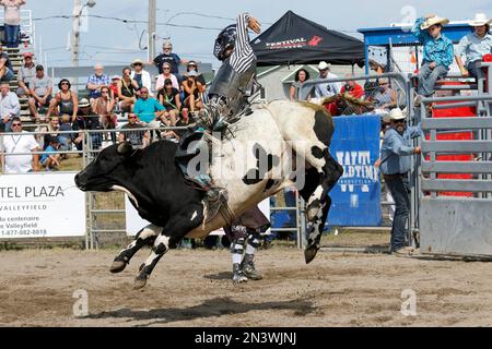 Rodeo, bull riding, Valleyfield, Provincia di Quebec, Canada Foto Stock