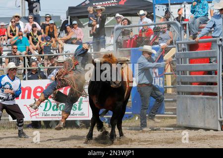 Rodeo, bull riding, Valleyfield, Provincia di Quebec, Canada Foto Stock
