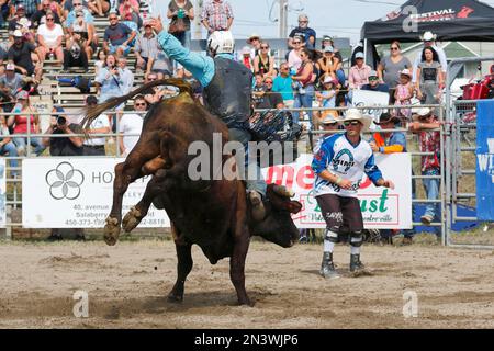 Rodeo, bull riding, Valleyfield, Provincia di Quebec, Canada Foto Stock