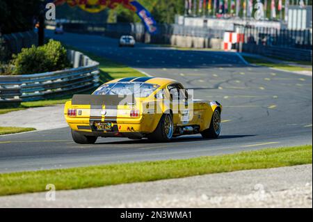 Hubert Faerber, Ford Shelby GT 350R, Histo Cup 2019, Bosch Race, Salzburgring 1, Salisburgo, Austria Foto Stock