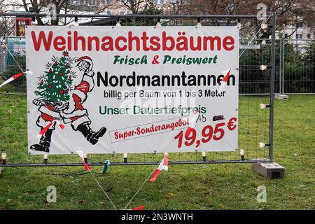 Hannover, Germania - 8 dicembre 2021: . L'abete Nordmanntanne o Nordmann è tipico per il Natale tedesco Foto Stock