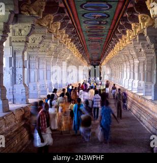 Il più lungo corridoio del tempio, il tempio di Ramanathaswamy a Rameswaram, Tamil Nadu, India, Asia Foto Stock