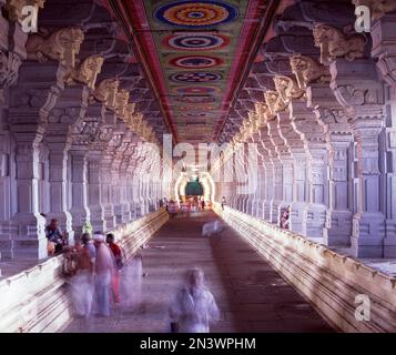 Il più lungo corridoio del tempio, il tempio di Ramanathaswamy a Rameswaram, Tamil Nadu, India, Asia Foto Stock