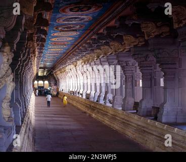 Il più lungo corridoio del tempio, il tempio di Ramanathaswamy a Rameswaram, Tamil Nadu, India, Asia Foto Stock