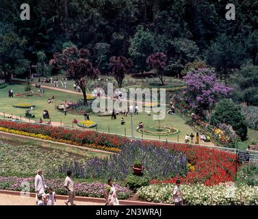 Il giardino botanico del governo che è stato disposto in 1847 dal marchese di Tweeddale in Udhagamandalam Ooty, Tamil Nadu, India del sud, India, Asia Foto Stock