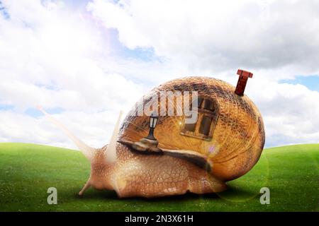 Mondo di fantasia. Lumaca magica con la sua casa conchiglia che si muove su prato verde Foto Stock