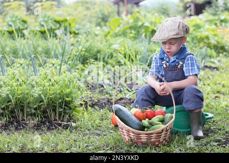 Piccolo contadino in giardino con un cesto di verdure. Un bambino piccolo che siede nel giardino che siede su un annaffiatoio in una bella giornata di sole. Ragazzo Foto Stock