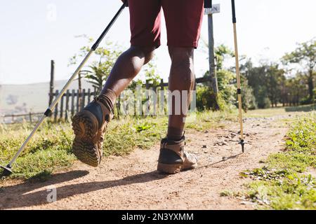 Sezione bassa dell'uomo anziano afroamericano con i pali di trekking che camminano sul sentiero nella foresta Foto Stock