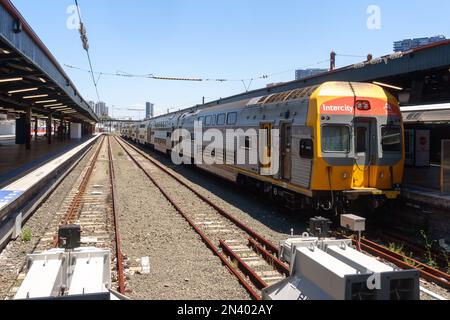 Un treno Intercity Comeng alla Stazione Centrale di Sydney Foto Stock