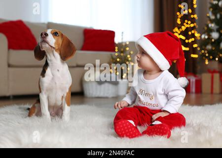 Bambino in cappello di Santa e carino cane Beagle a casa contro sfocate luci di Natale Foto Stock