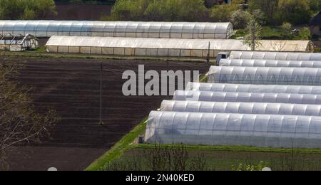 Serre allineate in fila, ricoperte da un film trasparente di ortaggi e frutta coltivati, vista dall'alto. Agricoltura, prodotti biologici. Foto Stock