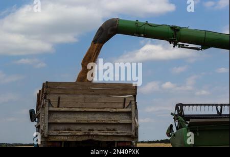 La trebbiatrice scarica il grano sullo sfondo del cielo con le nuvole. primo piano. Foto Stock