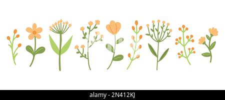 Giardino piante floreali set. Semplici piante di fiori di doodle isolate su sfondo bianco. Illustrazione a colori con vettore piatto Illustrazione Vettoriale
