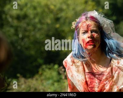 Zombie sposa in un evento di evacuazione zombie in cui i corridori su un corso d'assalto sono inseguiti da zombie ... Normale per Norfolk Foto Stock