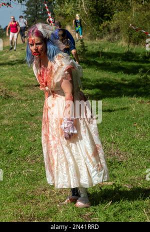 Zombie sposa in un evento di evacuazione zombie in cui i corridori su un corso d'assalto sono inseguiti da zombie ... Normale per Norfolk Foto Stock