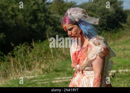Zombie sposa in un evento di evacuazione zombie in cui i corridori su un corso d'assalto sono inseguiti da zombie ... Normale per Norfolk Foto Stock