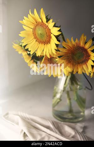 Vaso con bellissimi girasoli gialli sul tavolo Foto Stock