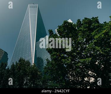 Un'inquadratura ad angolo basso dell'One World Trade Center e degli alberi circostanti a New York Foto Stock