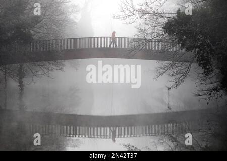 Chippenham, Wiltshire, Regno Unito. 8 febbraio 2023. Poiché il freddo inverno nebbioso colpisce molte parti del Regno Unito, un uomo è ritratto a camminare attraverso un ponte sul fiume Avon a Chippenham, Wiltshire. Crediti: Lynchpics/Alamy Live News Foto Stock