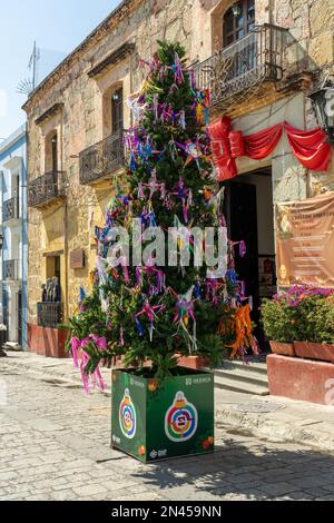 Ornamenti natalizi a forma di stella decorano un albero di Natale su Calle Macedonio Alcala nella storica Oaxaca, Messico. Foto Stock