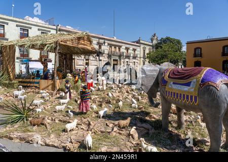 Un presepe di Natale in piazza Zocalo nel centro storico di Oaxaca, Messico. Foto Stock