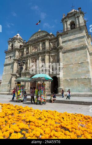 Di fronte alla Cattedrale di nostra Signora dell'Assunzione o alla Cattedrale Metropolitana nella storica città di Oaxaca, Messico. Costruito tra il 157 Foto Stock