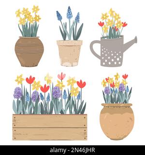 Collezione di vasi vintage, annaffiatoio e scatola con fiori primaverili. Tulipani, giacinti, muscari, narcisi. Illustrazione del vettore disegnata a mano Doodle Illustrazione Vettoriale