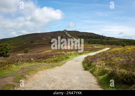 Sentiero per raggiungere la cima del Moel Famau Country Park, Clwydian Range, Galles del Nord. Foto Stock