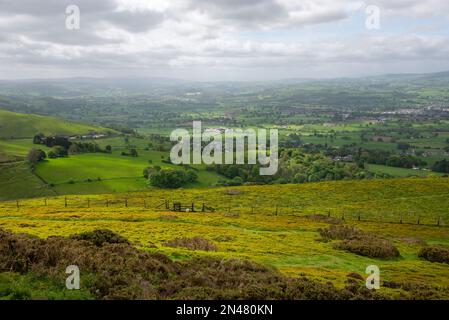 La vale di Clwyd visto dal parco di campagna di Moel Famau, la gamma di Clwydian, Galles del Nord. Foto Stock