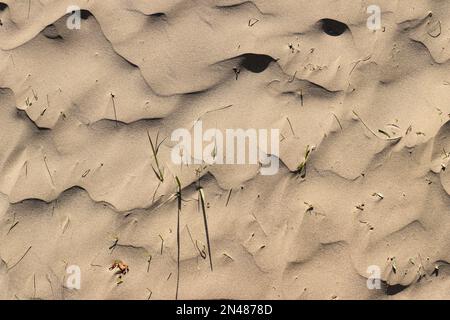 Particolare di sabbia fine sulla spiaggia Foto Stock